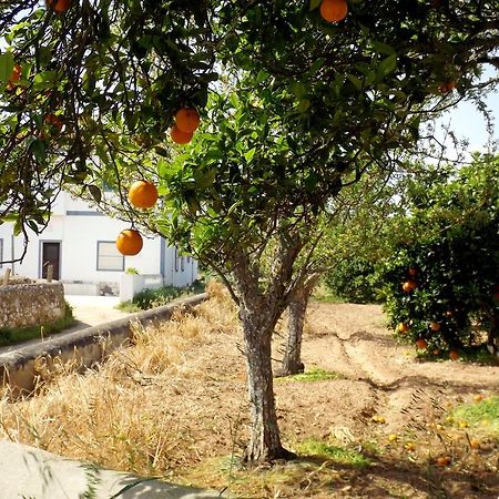 라고스 Casas Do Pomar 빌라 객실 사진