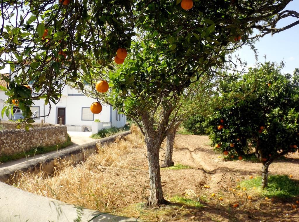 라고스 Casas Do Pomar 빌라 객실 사진