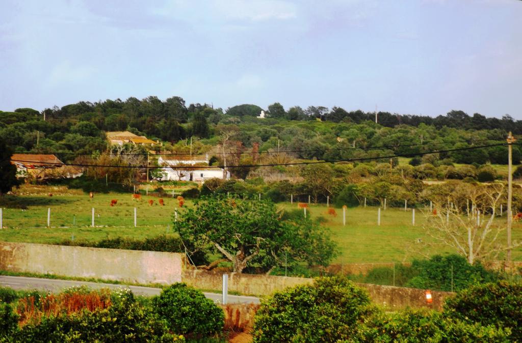 라고스 Casas Do Pomar 빌라 객실 사진